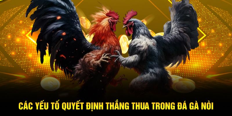 Các yếu tố quyết định thắng thua trong đá gà nòi
