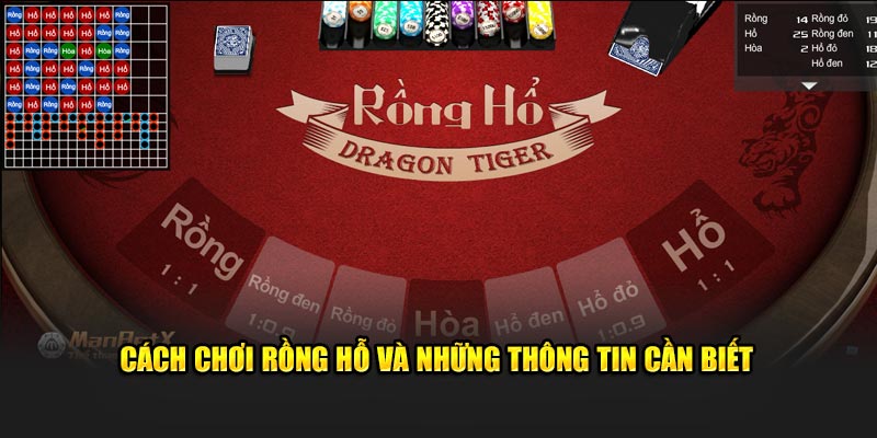 Cách chơi rồng hổ và những thông tin hội viên cần nắm được