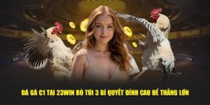 Đá Gà C1 Tại 23Win Bỏ Túi 3 Bí Quyết Đỉnh Cao Để Thắng Lớn