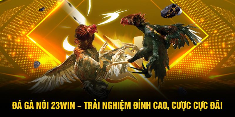 Đá Gà Nòi 23WIN – Trải Nghiệm Đỉnh Cao, Cược Cực Đã!