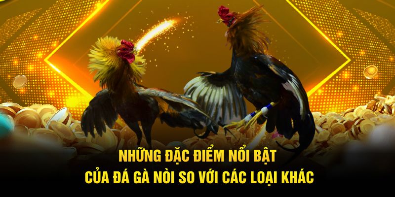 Những đặc điểm nổi bật của đá gà nòi so với các loại khác